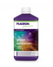 Green Sensation 100cc - Plagron