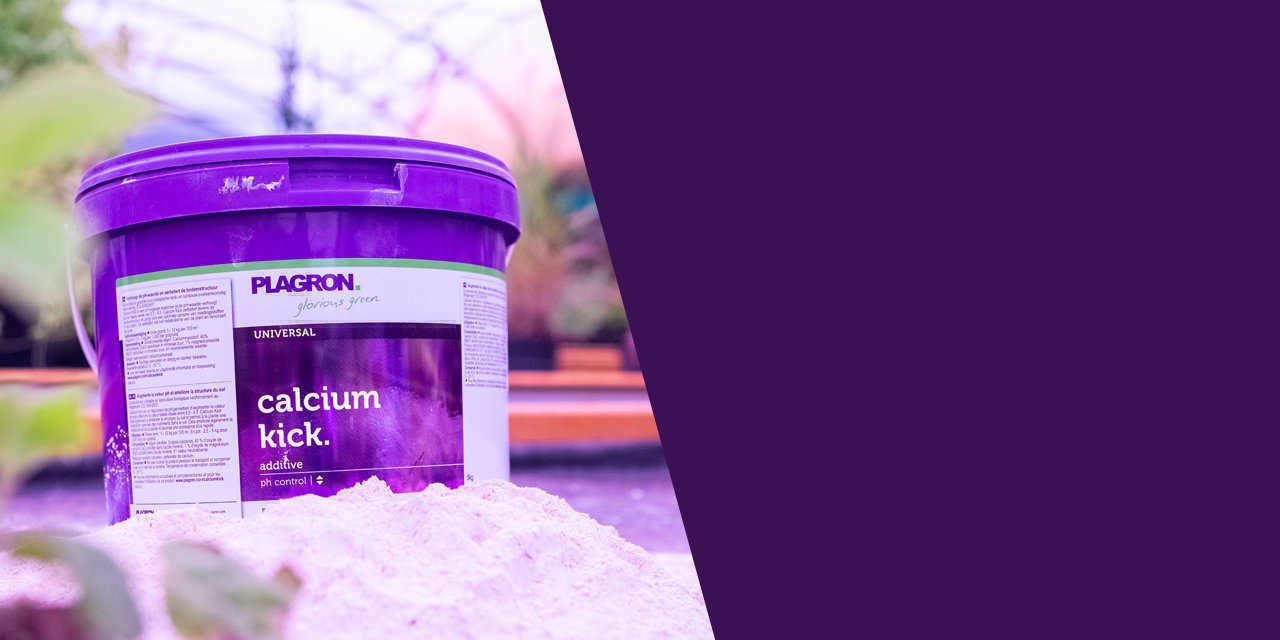 Calcium Kick 5kg - Plagron