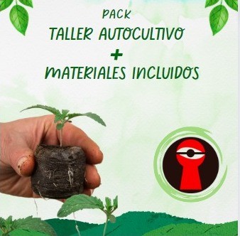 Pack Taller de Autocultivo más Insumos para cultivo